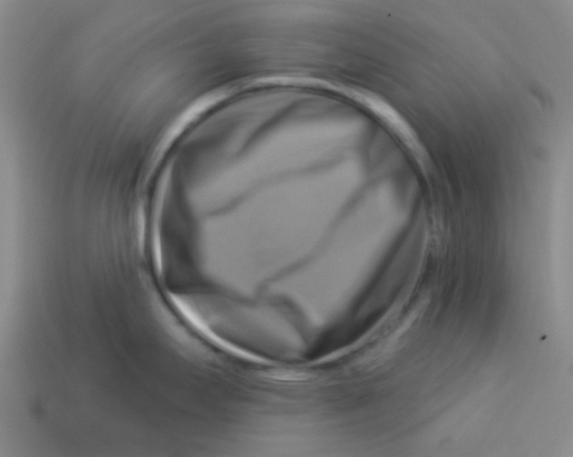 X0000113341295200910131210