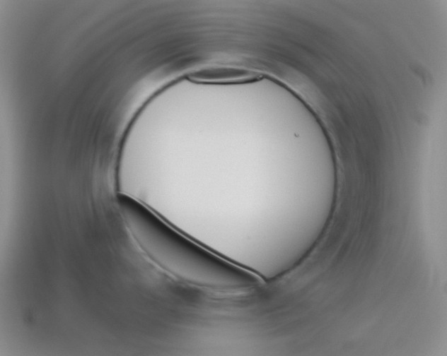 X0000113341296200910131210