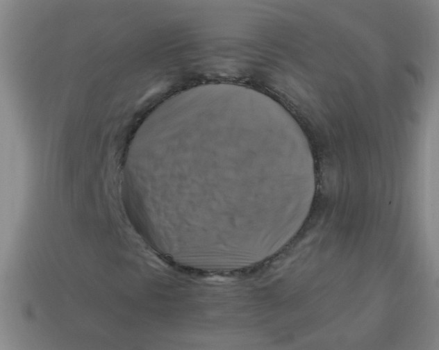 X0000113341297200910131210