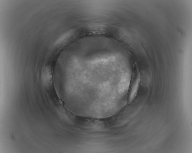 X0000113341298200910131210