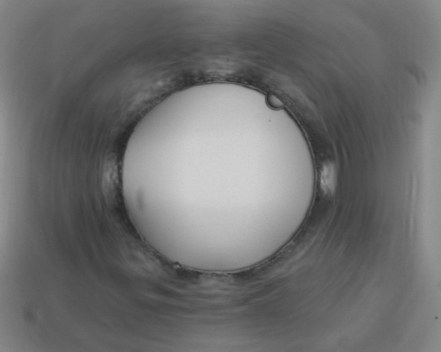 X0000113341299200910131210