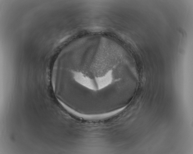 X0000113341301200910131210