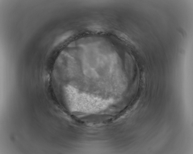 X0000113341302200910131210