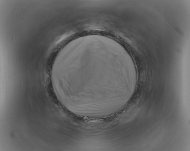 X0000113341303200910131210
