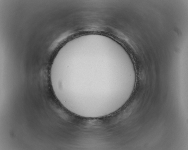 X0000113341304200910131210