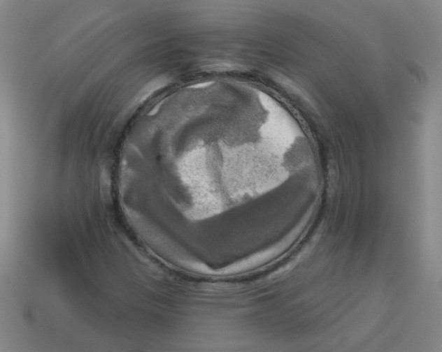 X0000113341305200910131210