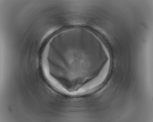 X0000113341306200910131210