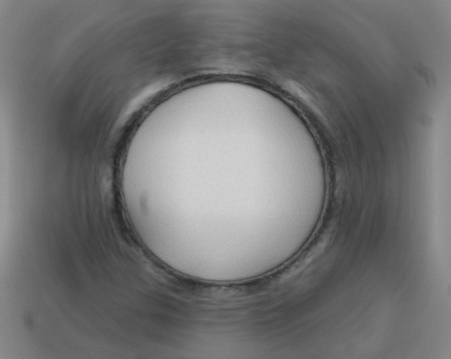 X0000113341307200910131210