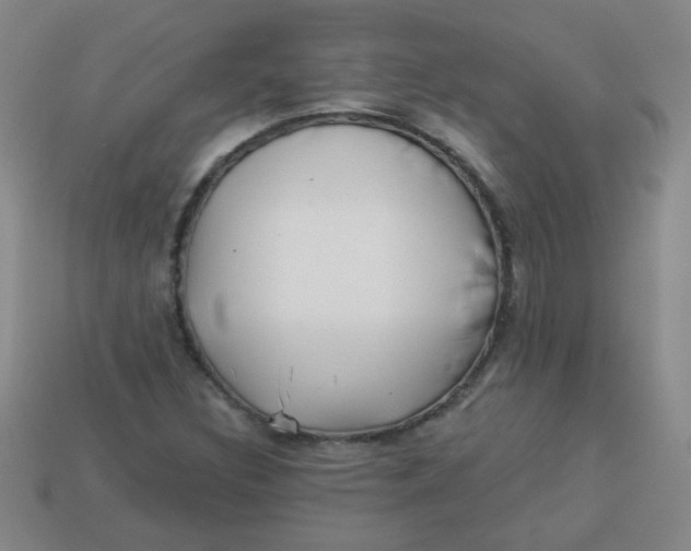 X0000113341308200910131210
