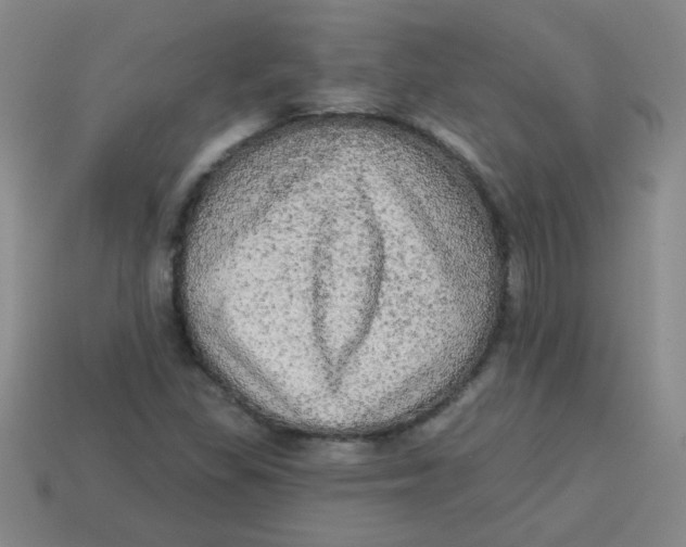 X0000113341309200910131210
