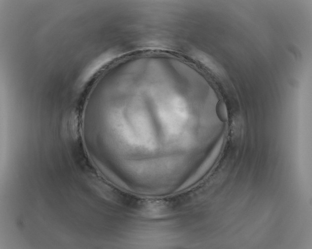 X0000113341310200910131210