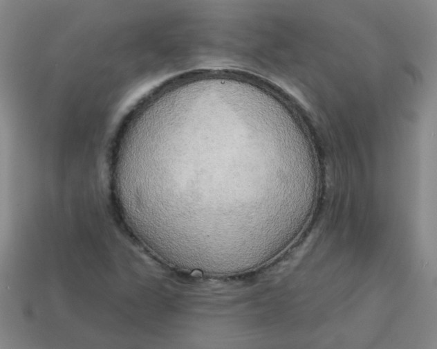 X0000113341311200910131210