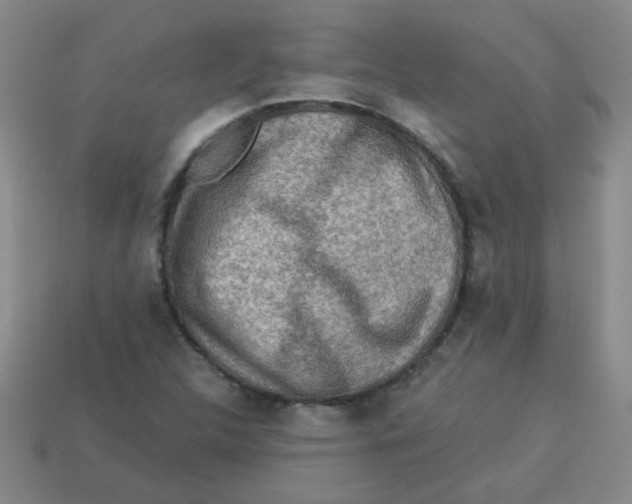 X0000113341312200910131210