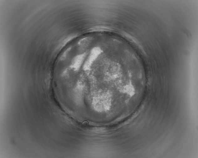 X0000113341313200910131210