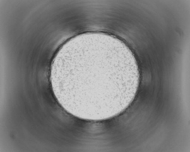 X0000113341314200910131210