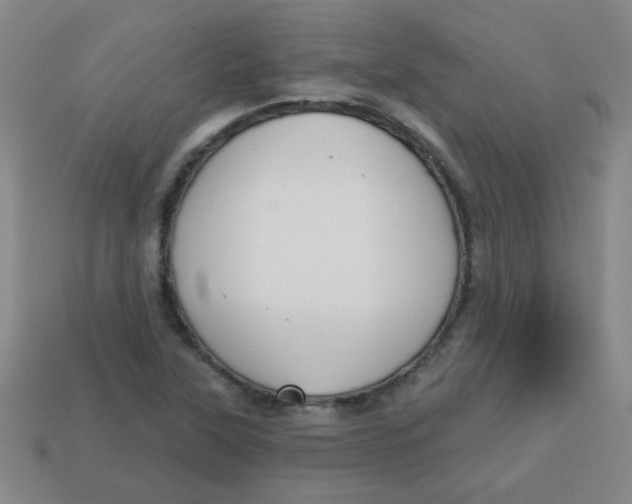 X0000113341315200910131210
