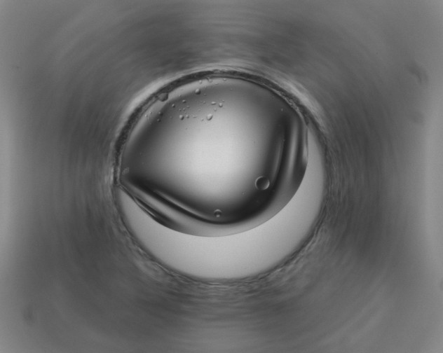 X0000113341316200910131210