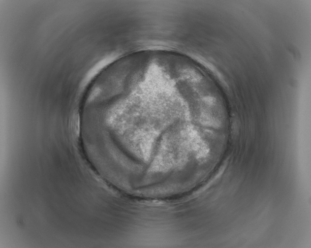 X0000113341317200910131210
