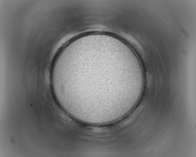 X0000113341318200910131210