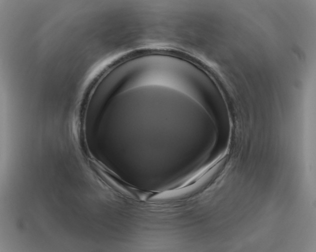 X0000113341319200910131210