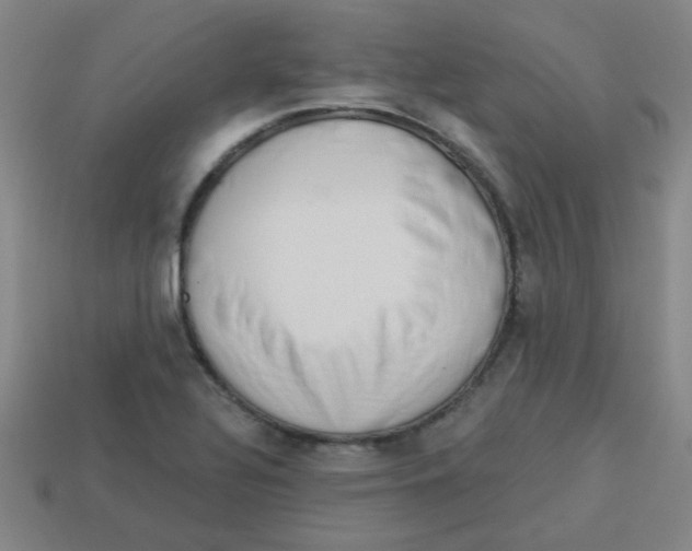 X0000113341320200910131210