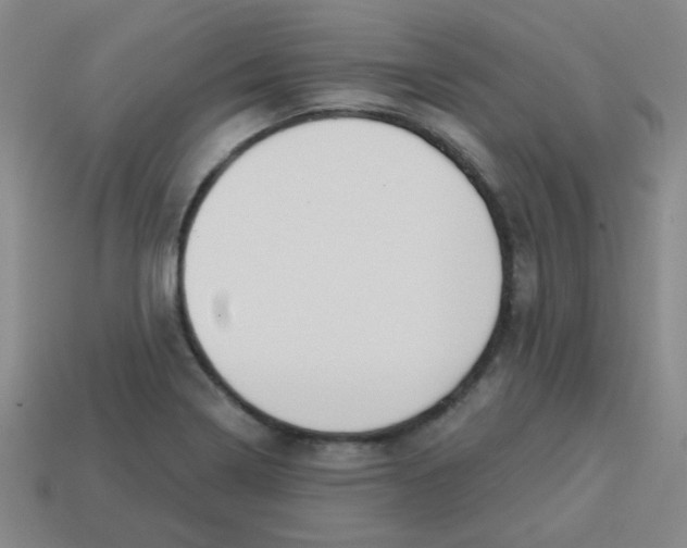 X0000113341322200910131210