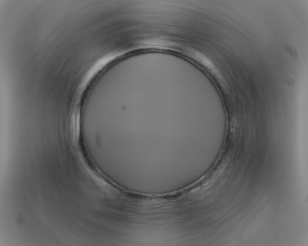 X0000113341323200910131210