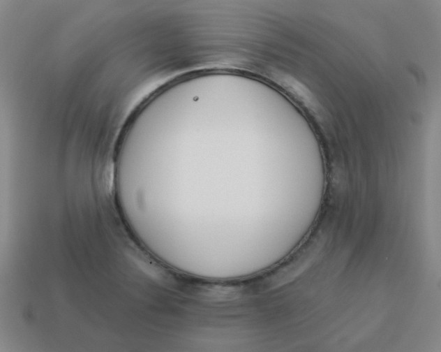X0000113341324200910131210