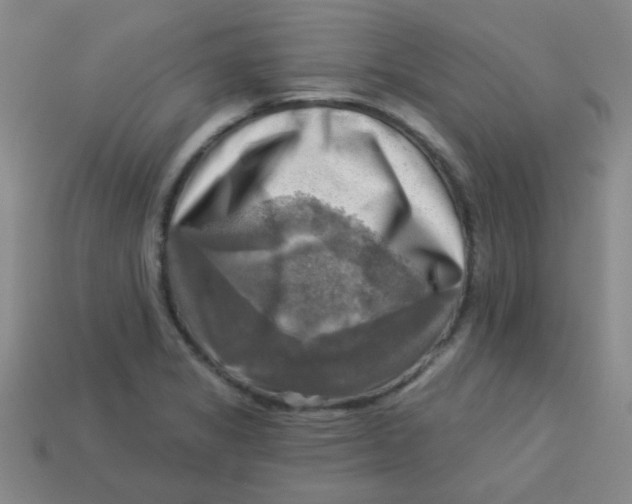 X0000113341325200910131210