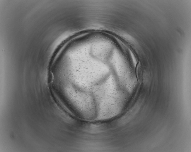 X0000113341326200910131210