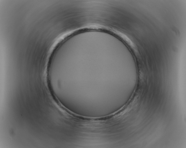 X0000113341327200910131210