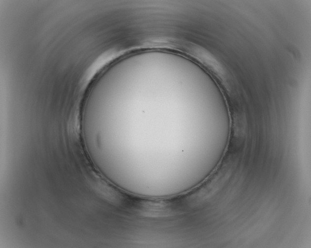 X0000113341328200910131210