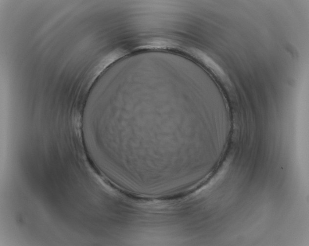X0000113341329200910131210