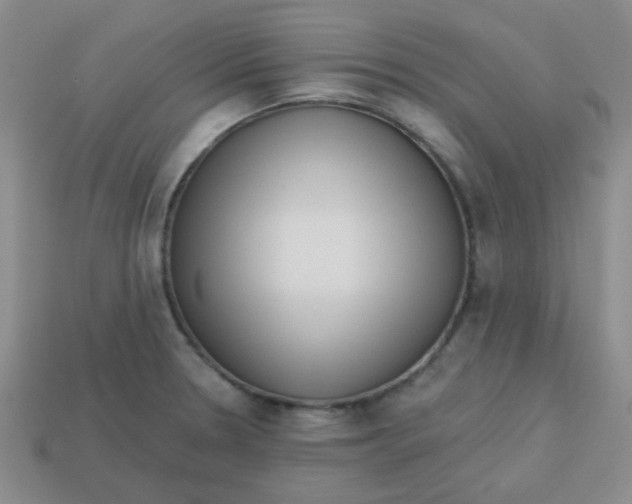 X0000113341330200910131210