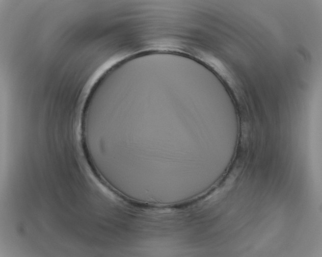 X0000113341331200910131210