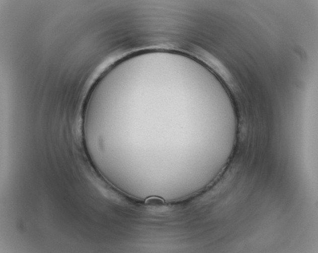 X0000113341332200910131210
