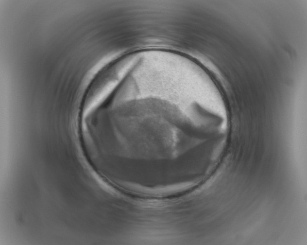 X0000113341333200910131210