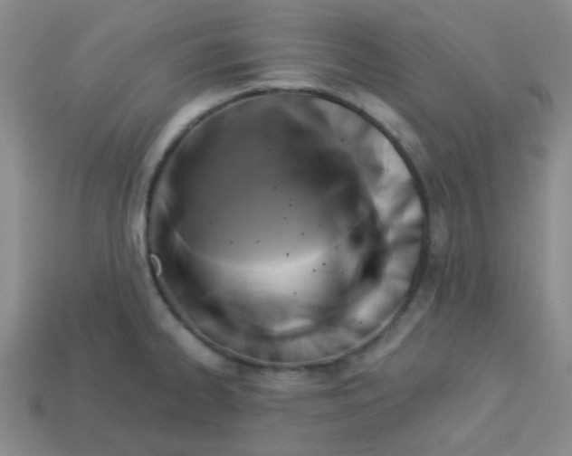X0000113341334200910131210