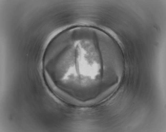 X0000113341335200910131210