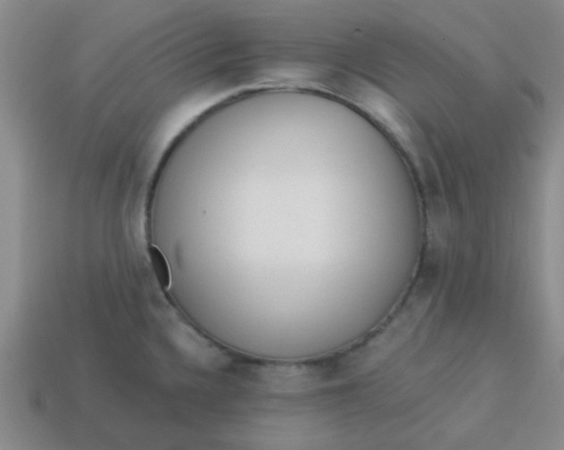 X0000113341336200910131210