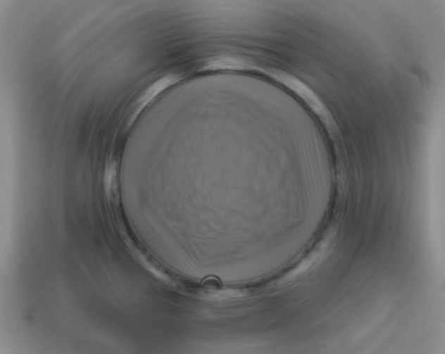 X0000113341337200910131210