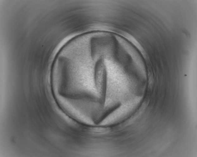 X0000113341339200910131210