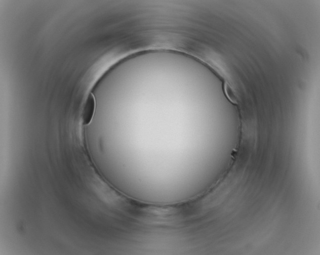 X0000113341340200910131210
