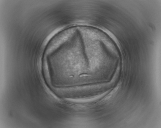 X0000113341341200910131210