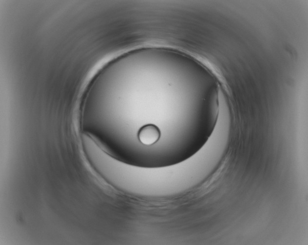 X0000113341342200910131210