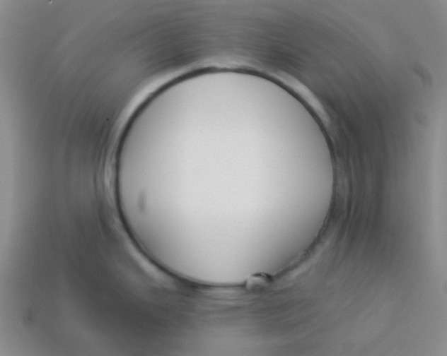 X0000113341343200910131210