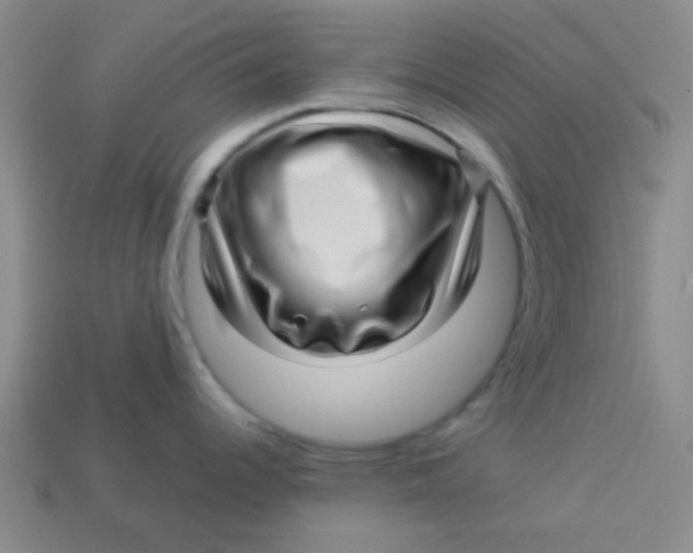 X0000113341344200910131210