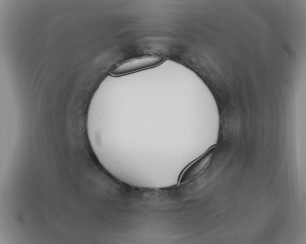 X0000113341345200910131210
