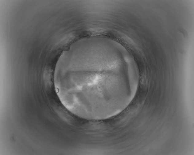 X0000113341346200910131210