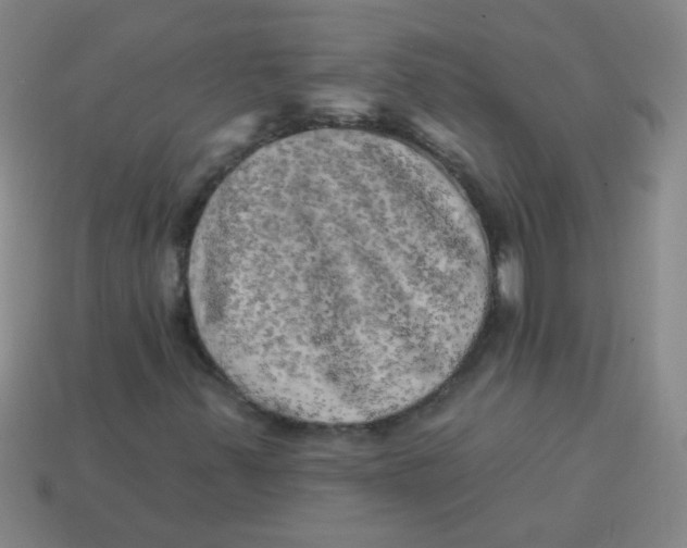 X0000113341347200910131210